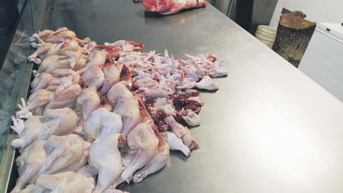 Caen las ventas de pollo en el país debido a la enfermedad “Newcastle”