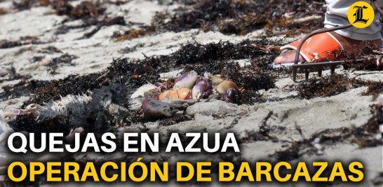 Pescadores y miembros de la comunidad Los Negros, en la provincia Azua, continúan quejándose de la instalación de las generadoras de electricidad de la empresa turca Karadeniz Powership.<br /><br />https://listindiario.com/la-republica/provincias/20230607/continuan-quejas-azua-operacion-barcazas_757517.html<br /><br />También le pude interesar estos videos:<br /><br />YENI BERENICE CHOCA CON LOS ABOGADOS DE JEAN ALAIN Y OTROS IMPUTADOS DEL CASO MEDUSA https://youtu.be/maUYxS7dN-M<br /><br />YVAN LORENZO Y FARIDE RAFUL CHOCAN POR LA CRISIS EN LA CÁMARA DE CUENTAS https://youtu.be/eQa3sRD60Os<br /><br />CONOCEN MEDIDA A EL DOTOLCITO Y A CHIQUITO POR CASO JOSHUA FERNÁNDEZ https://youtube.com/live/LMgjG0x2cUE<br /><br />EL DOTOLCITO Y CHIQUITO SON ENVIADOS A PRISIÓN POR CASO JOSHUA FERNÁNDEZ https://youtu.be/RSDxKtjt2vw<br /><br />FISCAL DEL DN RECIBE MENSAJES AMENAZANTES DE UNA PERSONA QUE DICE REPRESENTAR A QUIRINO PAULINO https://youtu.be/mwoVqyxrynM<br /><br />Más noticias en https://listindiario.com/<br /><br />Suscríbete al canal  https://bit.ly/335qMys<br /><br />Síguenos<br />Twitter  https://twitter.com/ListinDiario <br /><br />Facebook  https://www.facebook.com/listindiario <br /><br />Instagram https://www.instagram.com/listindiario/