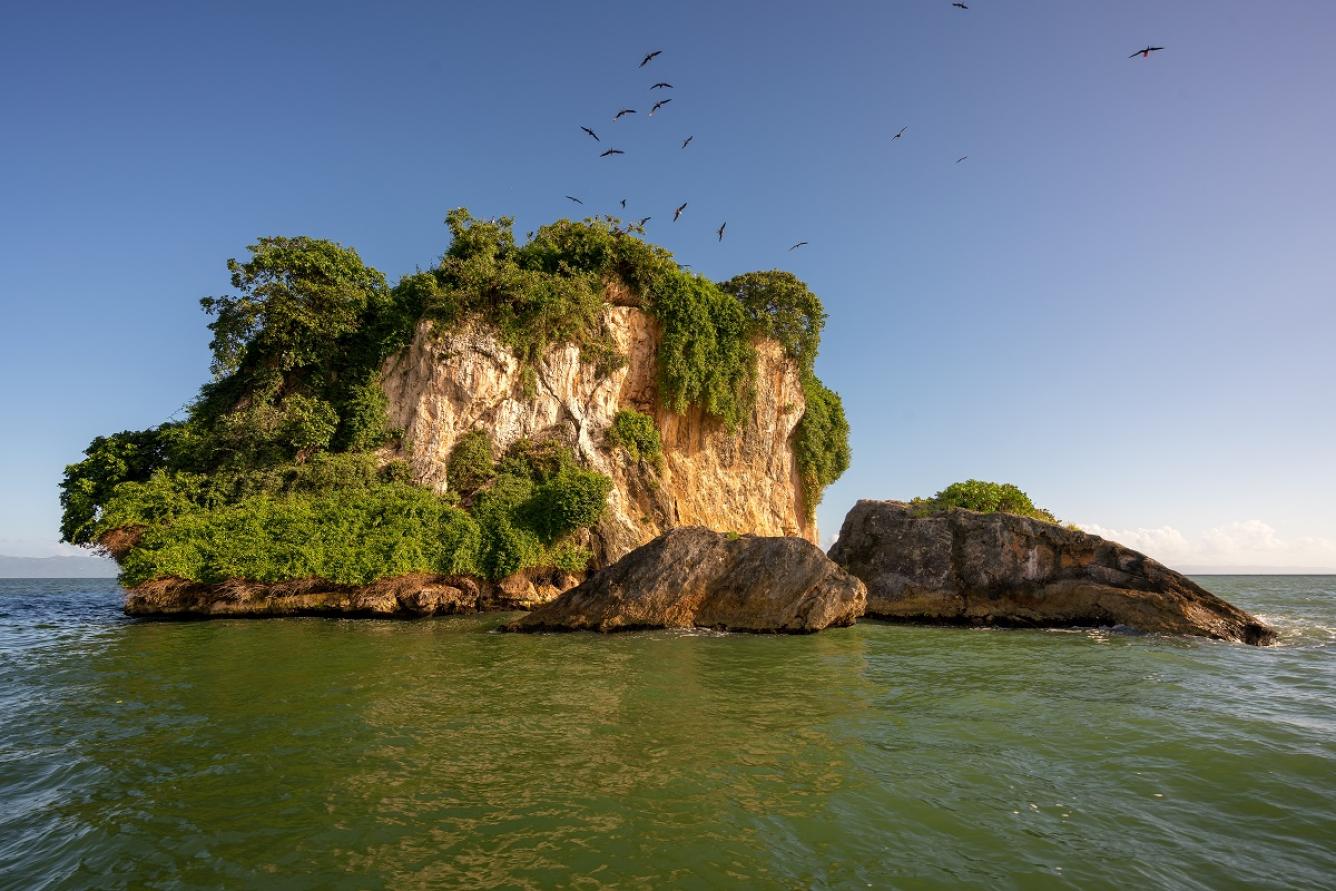 Visitar el Parque Nacional Los Haitises, un área protegida con una gran variedad de flora y fauna, que incluye cuevas y formaciones rocosas impresionantes.