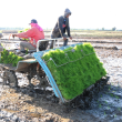 Los principales daños a la agricultura por las lluvias se produjeron en el noroeste.