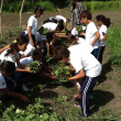 Estudiantes siembran en el huerto escolar.