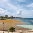 Una playa de República Dominicana con sargazo