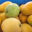 La producción de mango ha crecido en el país.