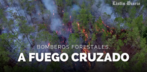 República Dominicana sufrió una de las temporadas de incendios más graves de los últimos años.<br /><br />En los primeros cuatro meses de 2023 los bomberos forestales apagaron alrededor de 550 incendios. Cifra que duplica el promedio anual, que es de 200.<br /><br />Esta es la parte de la historia que ya muchos conocen, pero falta una por contar...<br /><br />También le pude interesar estos videos:<br /><br />LAS CASAS DE TRUJILLO: DEL LUJO A LA RUINA TOTAL https://youtu.be/gyBv-tKfuR4<br /><br />ASÍ FUE EL ENCONTRONAZO ENTRE EL PROCURADOR GENERAL DE LA REPÚBLICA, JEAN ALAIN RODRÍGUEZ, Y LA MAGISTRADA MIRIAM GERMÁN https://youtu.be/J7P4DUiFAY4<br /><br />LA COERCIÓN DE GONZALO, PERALTA, DONALD Y OTROS DEL CASO CALAMAR https://youtube.com/live/v3RU7h-s9Z4<br /><br />DANILO LLEGÓ AL PAÍS EN VUELO PRIVADO PROCEDENTE DE ESTADOS UNIDOS https://youtu.be/J4TU0oRmXfU<br /><br />SERGIO CARLO ATRIBUYE A "CHISMES" SEPARACIÓN DE SU ESPOSA, SE MUDA DE ATLANTA A PUNTA CANA https://youtu.be/Wxn4btUxhmA<br /><br />Más noticias en https://listindiario.com/<br /><br />Suscríbete al canal  https://bit.ly/335qMys<br /><br />Síguenos<br />Twitter  https://twitter.com/ListinDiario <br /><br />Facebook  https://www.facebook.com/listindiario <br /><br />Instagram https://www.instagram.com/listindiario/