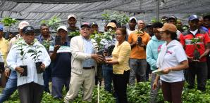 El operativo de entrega de plantas para la siembra de café fue encabezado por Leónidas Batista Díaz y el equipo técnico de Indocafé.