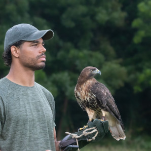 Carlos Suárez usa el arte de la cetrería en la conservación.