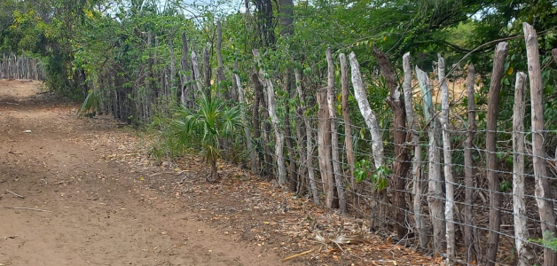 Nuevas alambradas colocadas en el área protegida de las Dunas.