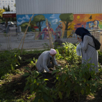 Huertos comunitarios cambian el paisaje urbano de Marsella