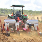 “SiembraRD” es un ‘mareo’ para quebrar agropecuaria