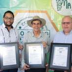 Empresa dominicana se convierte en la primera productora de macadamia certificada ISO 22000