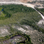 Academia de Ciencias advierte de daños irreparables de la valla fronteriza en Laguna de Saladillo