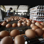 Avicultores inquietos por bajos precios de huevos