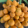 Descubriendo el mango desde adentro: la antesala de la Feria del Mango 2023