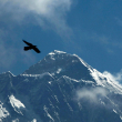 La conquista del Everest, el monte que cambió la vida de los habitantes de la región