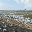 Muchos plásticos, basura y lilas se adueñan de la playa Montesinos