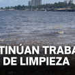 Continúan limpieza de la playa Montesinos