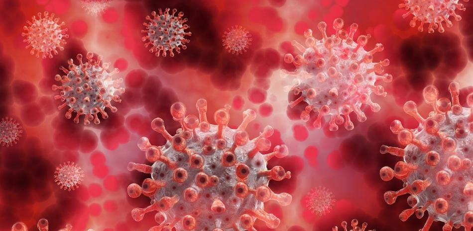 Los contagios y muertes por coronavirus se siguen reduciéndose en todo el mundo, según el último informe publicado por la Organización Mundial de la Salud.