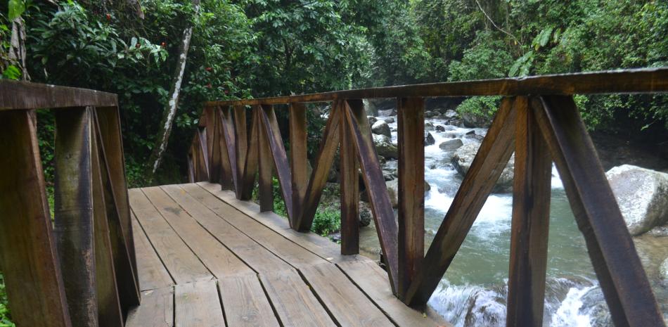 SALTOS DE JIMA