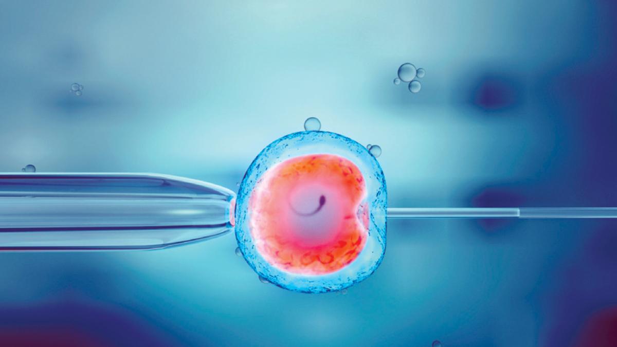 “Scientists create artificial human embryos from stem cells without eggs or sperm” |  Daily list