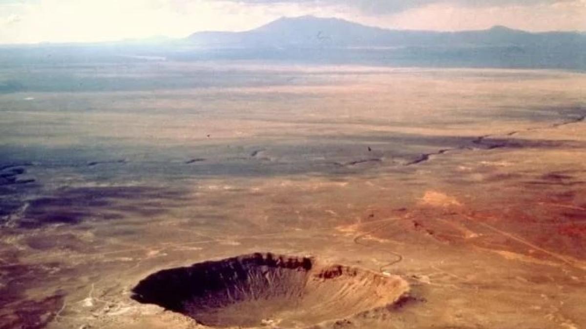 Human ancestors survived the asteroid impact that killed the dinosaurs |  daily menu