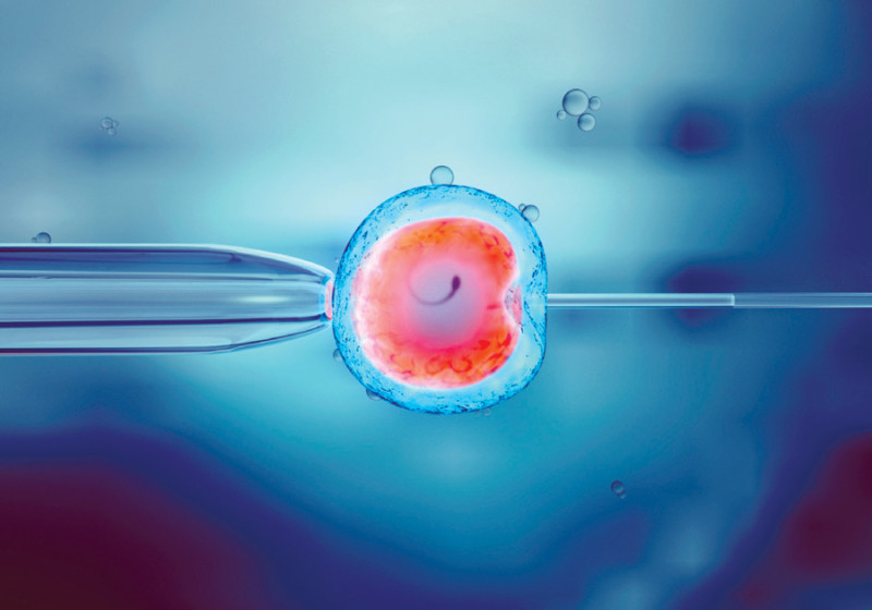 Sistema. Permite los embriones con más posibilidades de ser gestados.