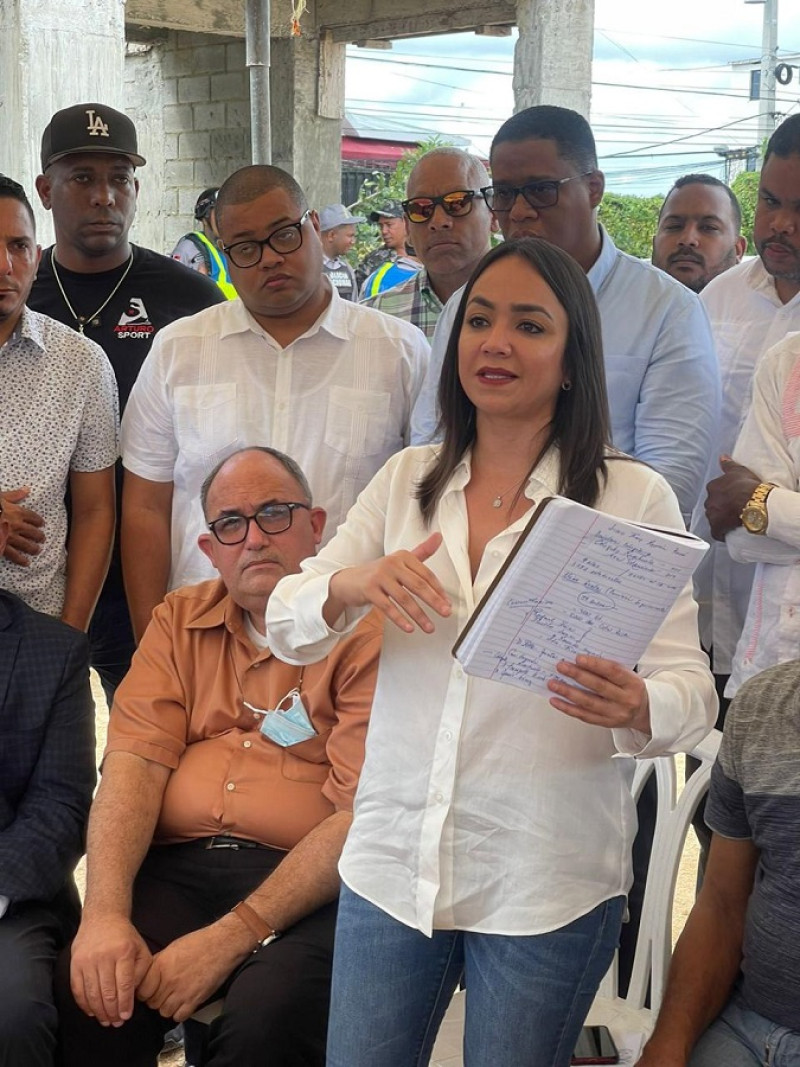 La senadora del Distrito Naciona, Faride Raful, durante una reunión con ...