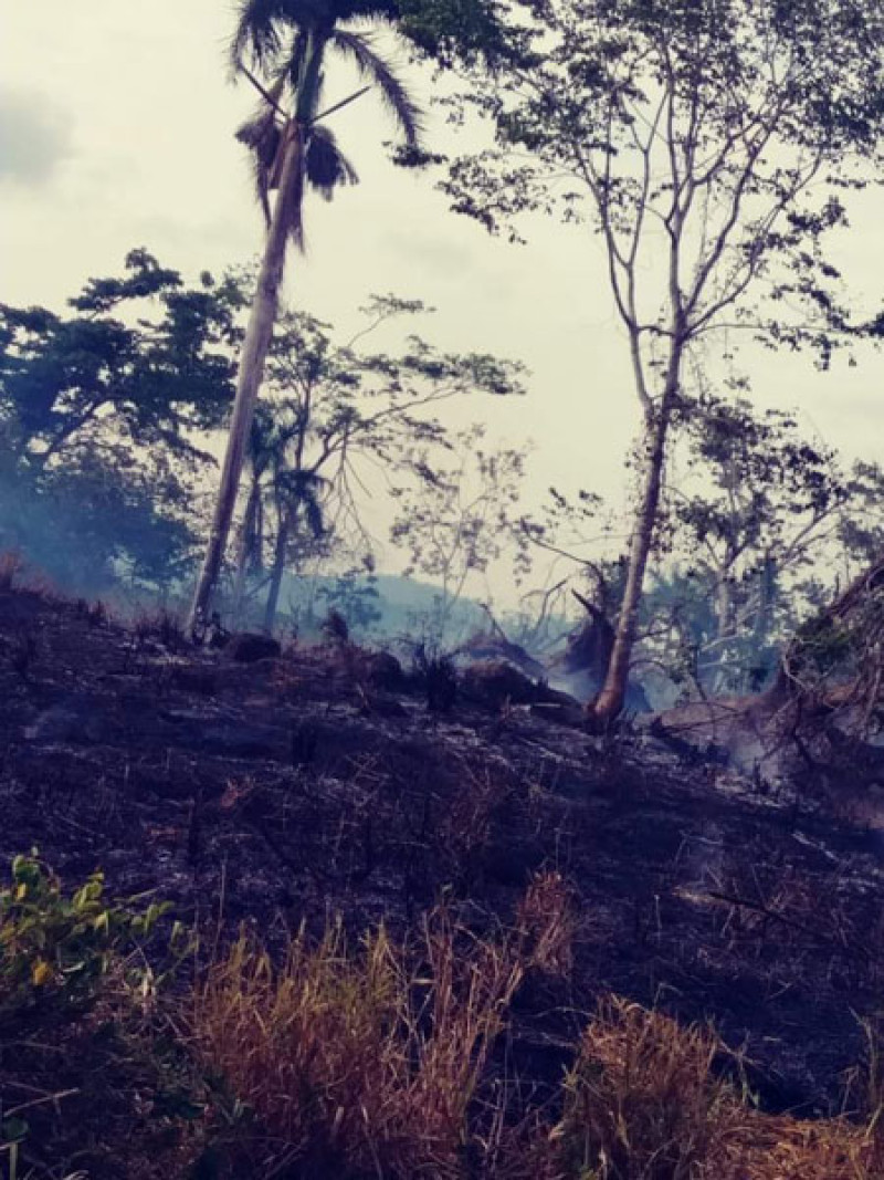 En dos semanas se han registrado 52 incendios.