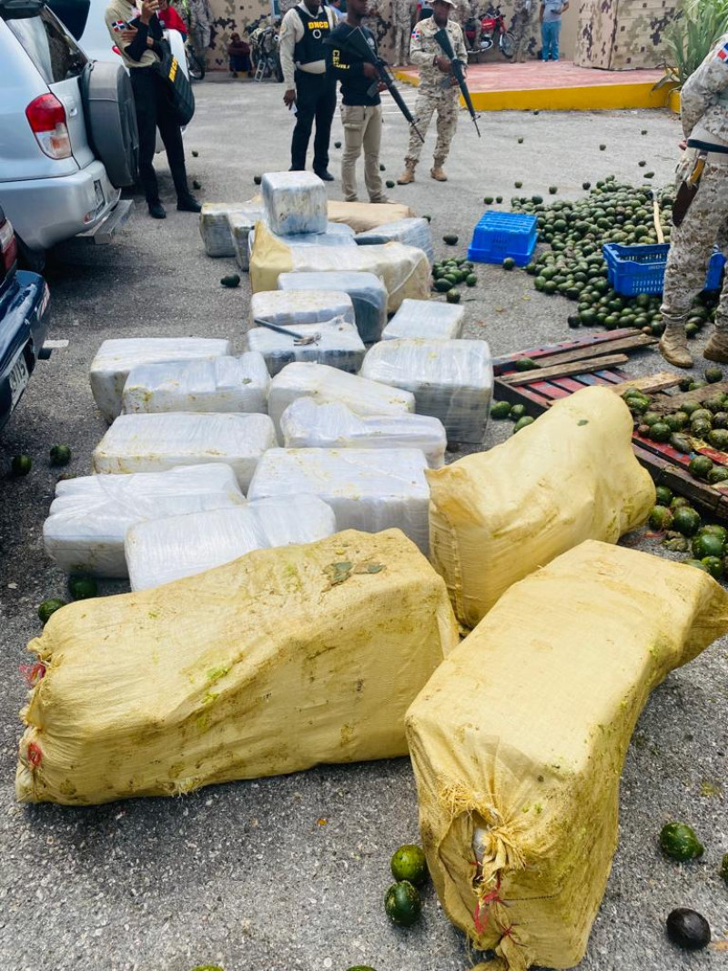 Paquetes de Marihuana estaban camuflados bajo aguacates.