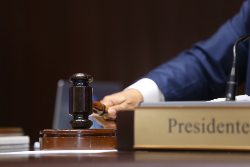 Mazo utilizado por el presidente de la Cámara de Diputados en las sesiones