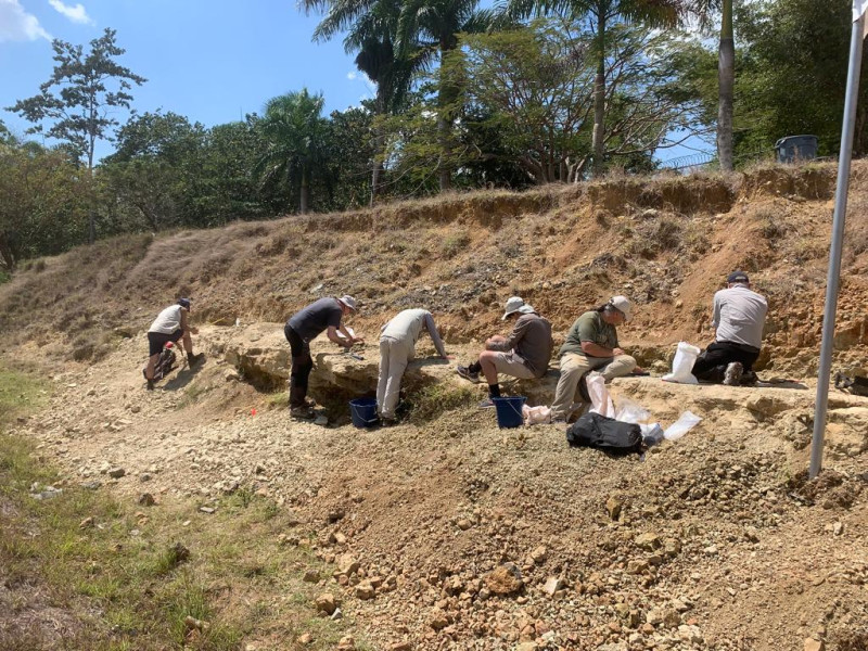Las excavaciones se realizaron durante 10 días por un equipo conformado por investigadores del Museo Nacional de Historia Natural (MNHN) de República Dominicana, la Universidad de la Florida (Estados Unidos), la Universidad de Montpellier (Francia) y el Museo de Historia Natural de los Ángeles (Estados Unidos).
