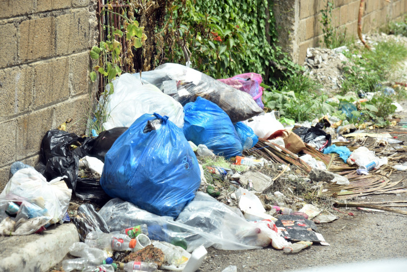 Cúmulos de basura adornan al sector El Valiente, en La Caleta.
